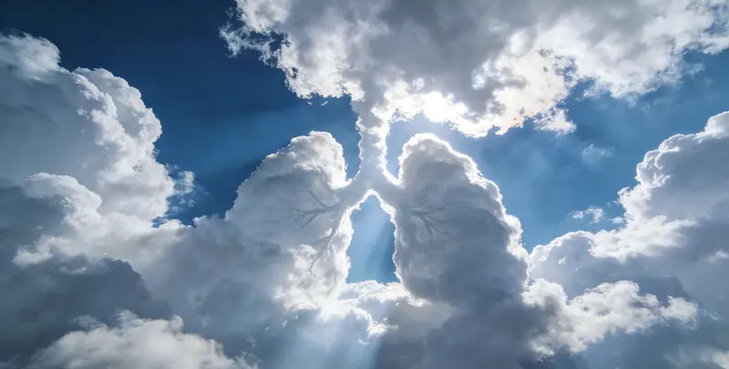 运城肺癌靶向39基因检测（组织）图片1