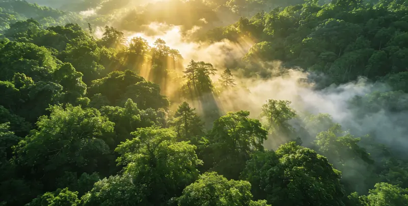 运城肺癌靶向120基因检测（组织）图片1