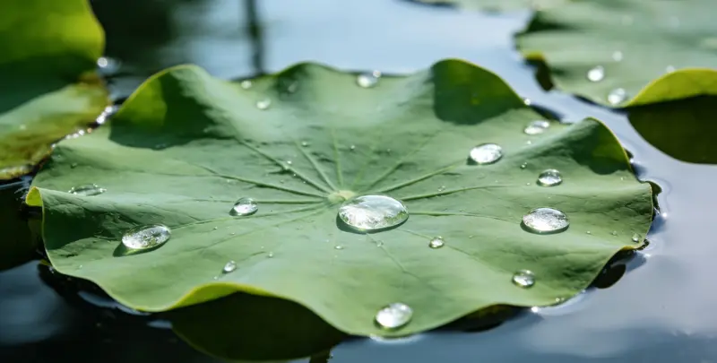 运城乳腺癌21基因mRNA表达分析图片1