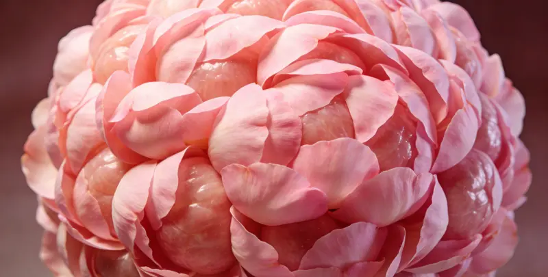 运城BRCA1/2乳腺癌卵巢癌基因检测图片1